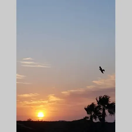 فيلة Sa Calma Esventada - Relax Y Confort A Solo 5 Minutos De La Playa *